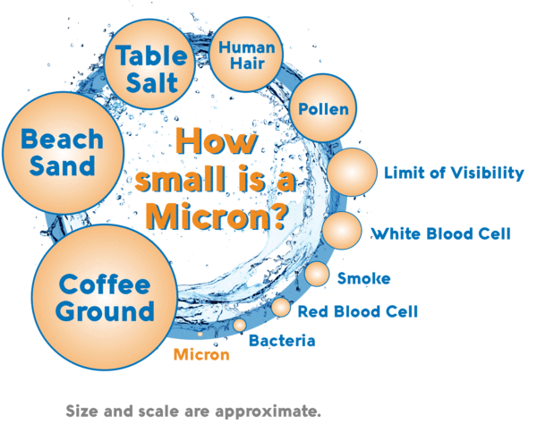 What is a Micron? The explanation and size comparison Infographic